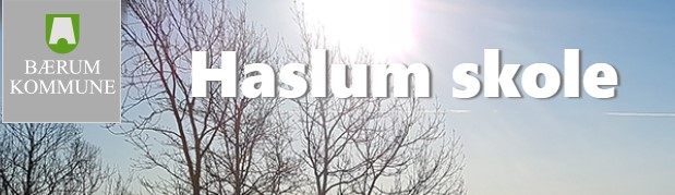 Haslum skole